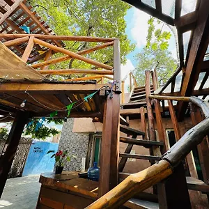 https://hostal-de-la-luz-cancun.quintano-roohotels.com